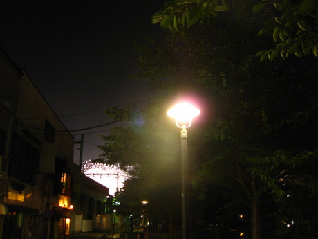 d0160692_23481589.jpg