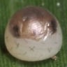 b0194593_17142490.jpg