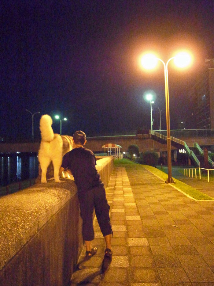 c0049299_21123939.jpg