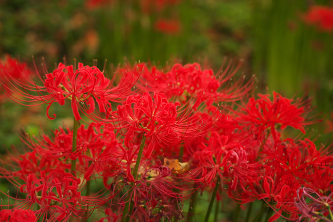 a0263109_19302927.jpg