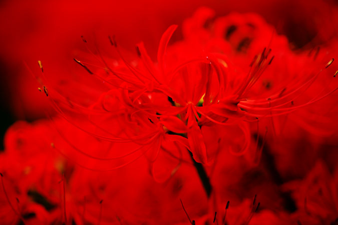 a0263109_1936558.jpg