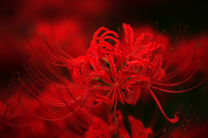 a0263109_1937085.jpg