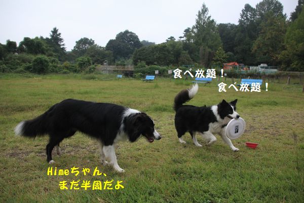 d0224111_18534908.jpg