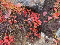 b0191418_137364.jpg