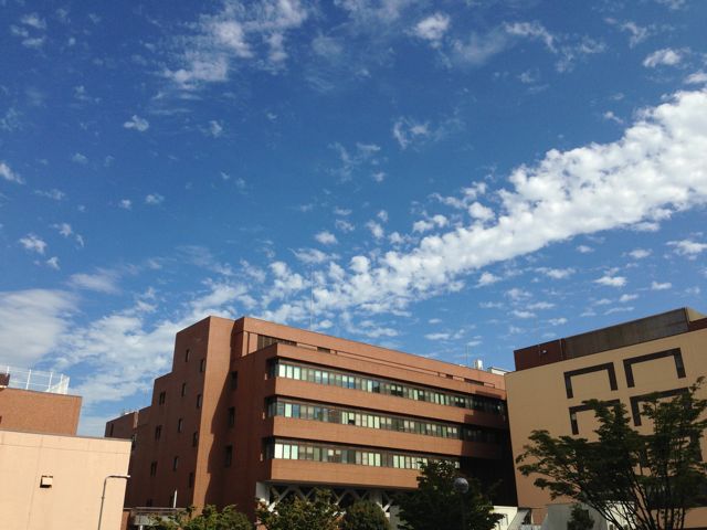 c0131823_20273756.jpg