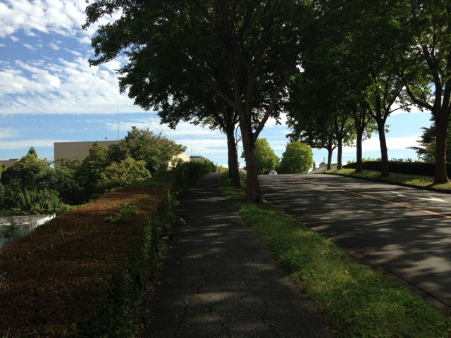 c0131823_2027457.jpg