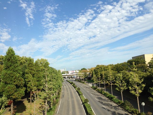 c0131823_20281915.jpg