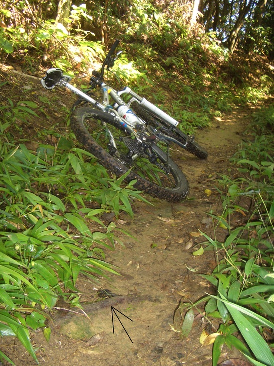 b0222530_1430428.jpg