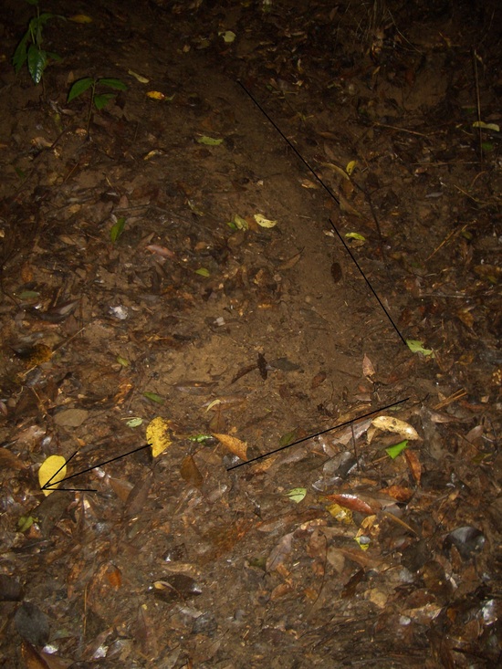 b0222530_1434514.jpg