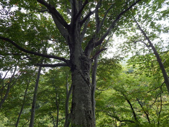 f0118332_17315925.jpg