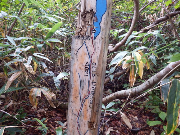 f0118332_17322776.jpg