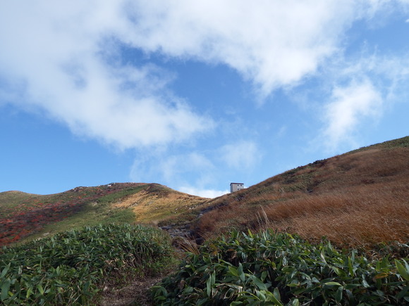 f0118332_17341436.jpg