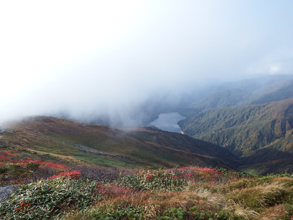 f0118332_22471834.jpg