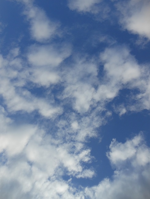 b0150335_8371273.jpg