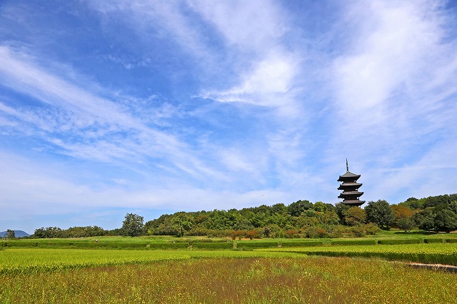 a0242438_22282289.jpg