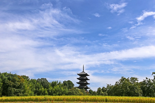 a0242438_22282771.jpg