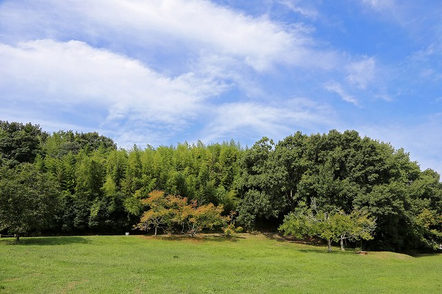 a0242438_22283276.jpg