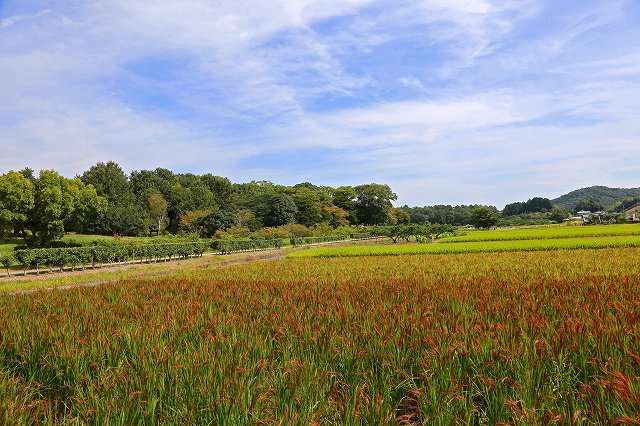 a0242438_2229201.jpg