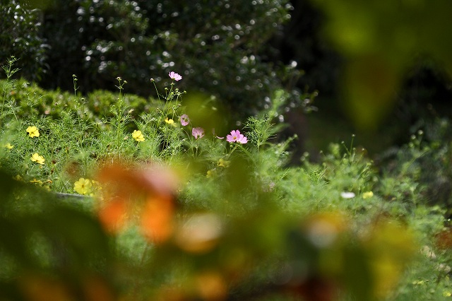 a0242438_22314270.jpg