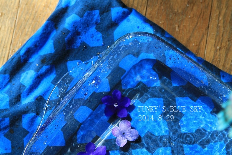c0145250_10115212.jpg