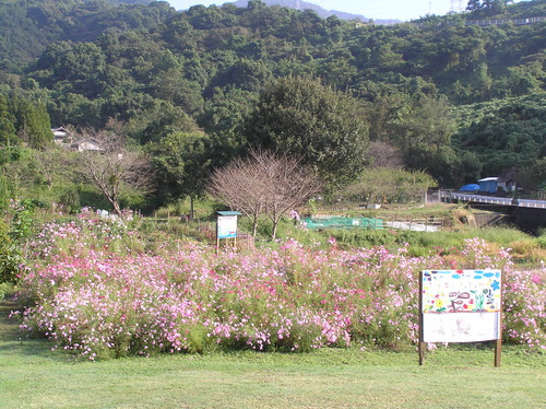 c0283850_11335091.jpg