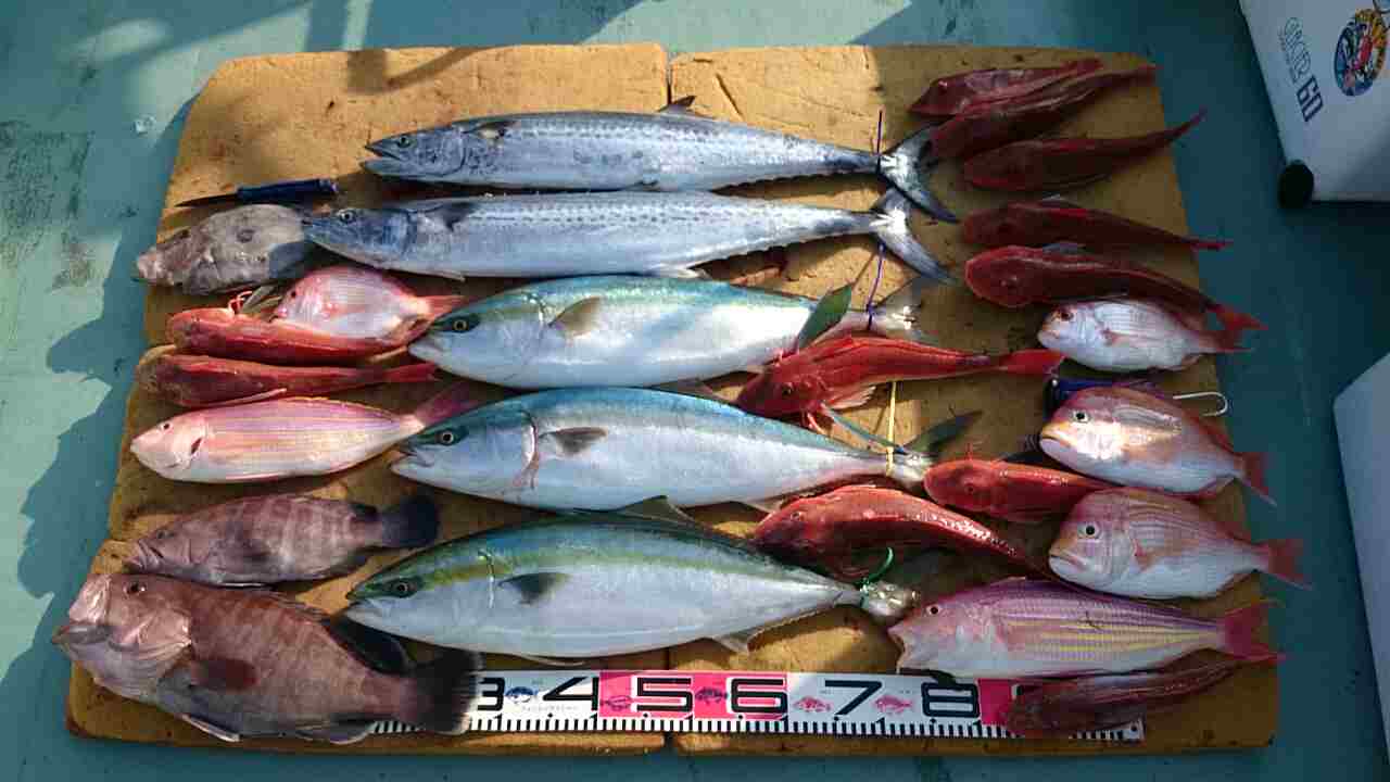 a0248152_18355648.jpg