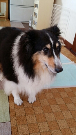 f0046854_20571653.jpg