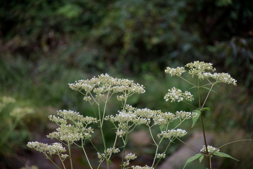 f0342371_9472148.jpg
