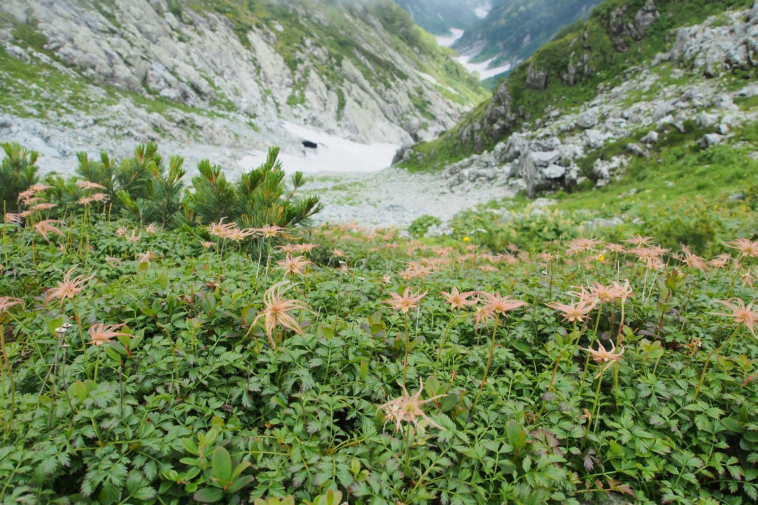 e0307372_16201346.jpg