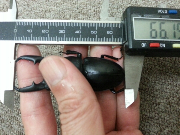 f0183484_10434348.jpg