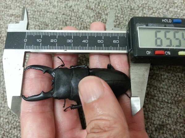f0183484_10444562.jpg