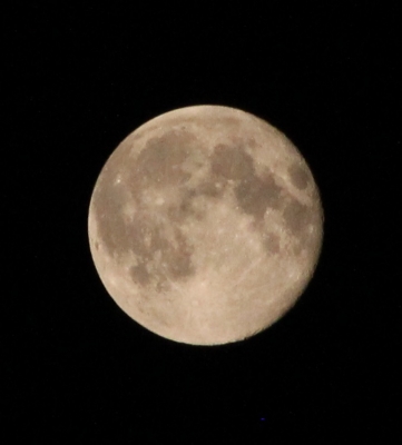 c0338191_23463798.jpg