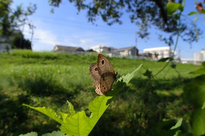 a0277496_926148.jpg