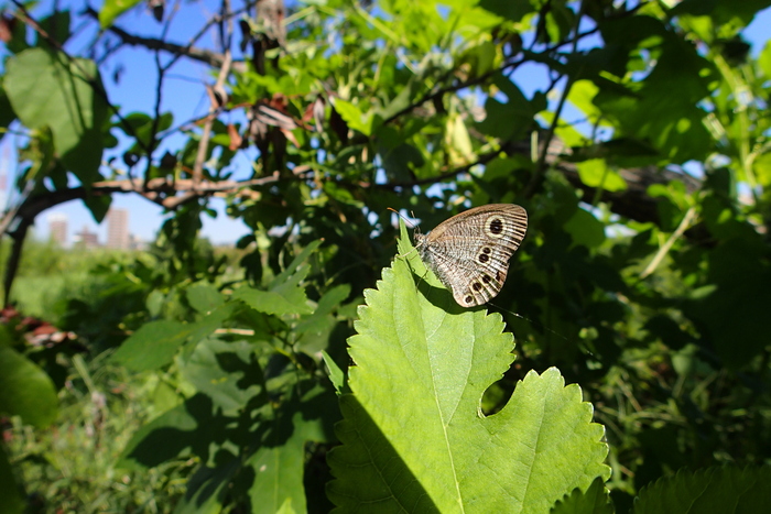 a0277496_9272858.jpg
