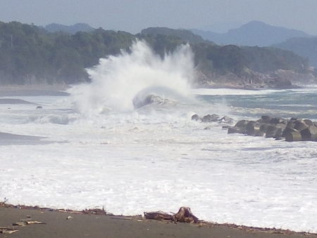 a0125598_20434995.jpg