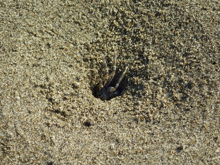 a0125598_20462227.jpg