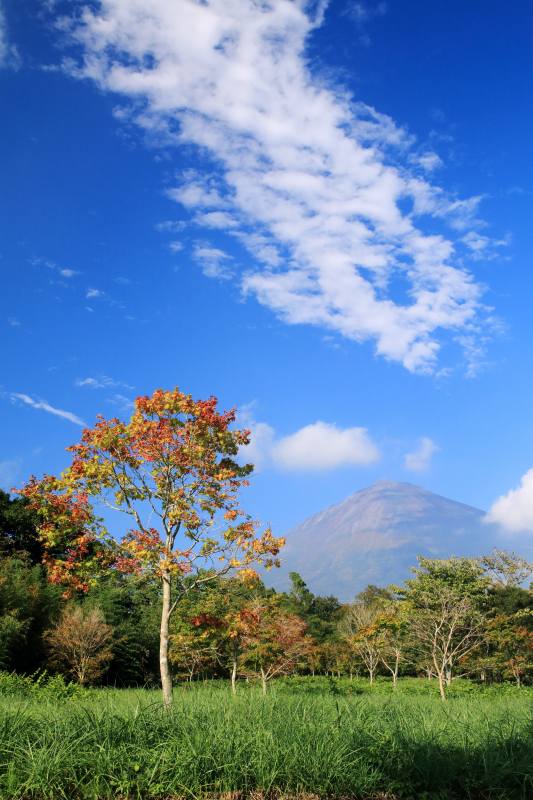 a0188405_06131695.jpg