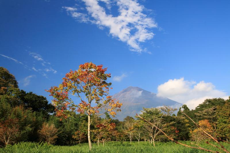 a0188405_06133111.jpg