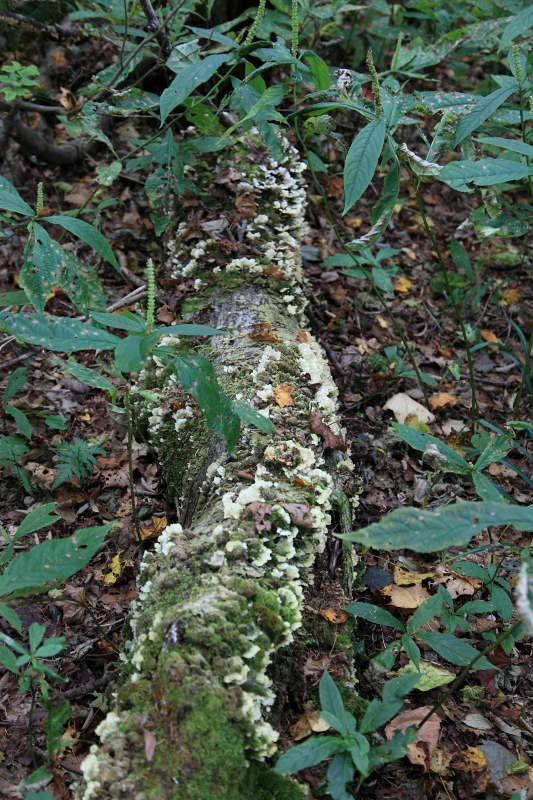 b0050305_19215148.jpg