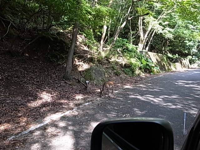 c0093205_16311869.jpg