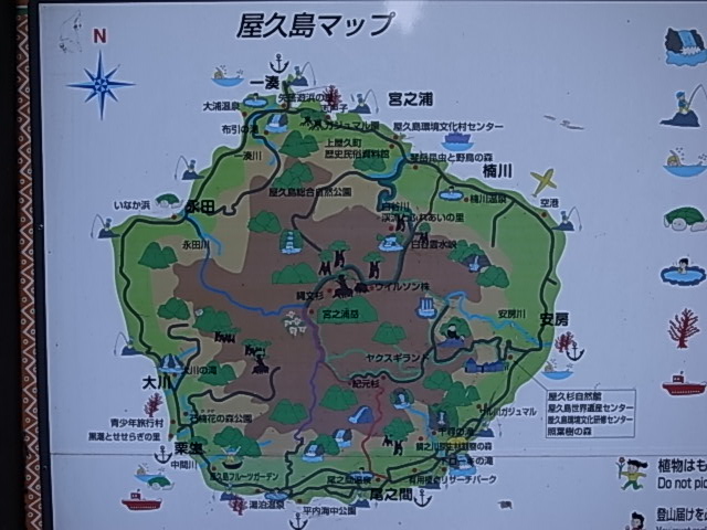c0093205_16352169.jpg