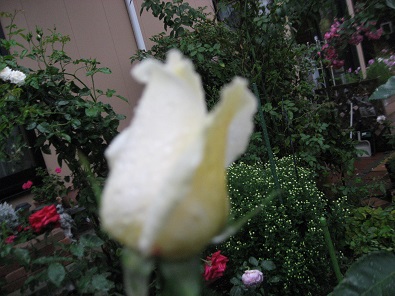 f0325309_15552904.jpg