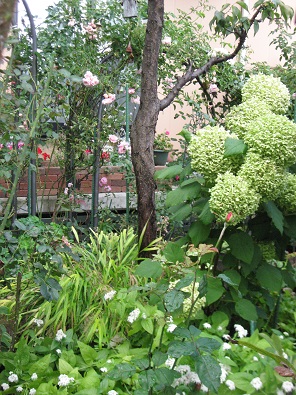 f0325309_15565672.jpg