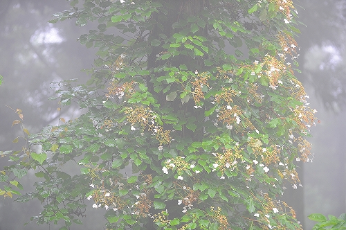 c0168815_22513059.jpg