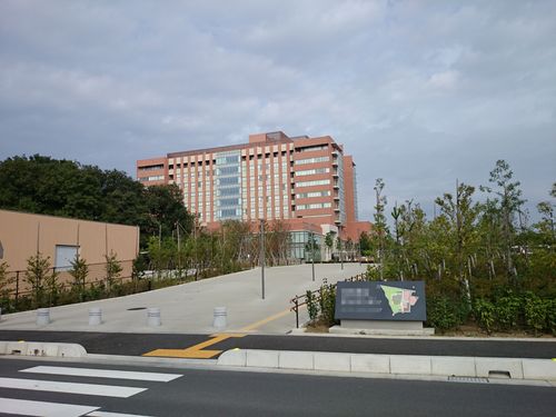 f0128821_20462688.jpg