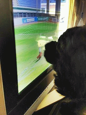 f0326925_00125462.gif