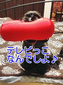 f0326925_00125477.jpg