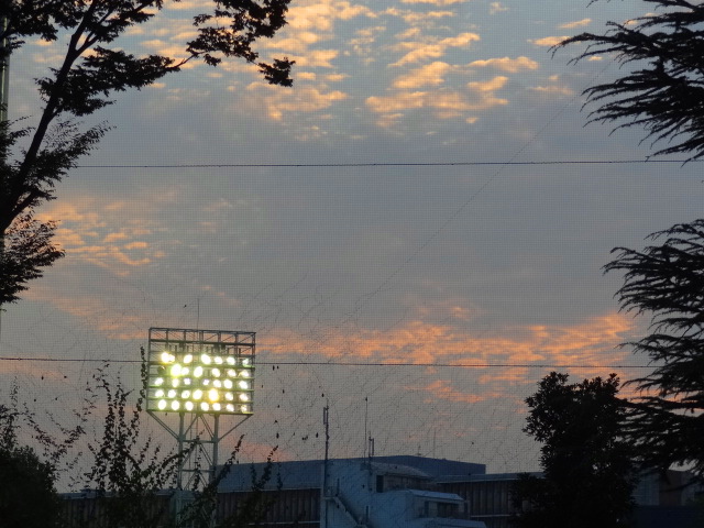 e0016828_11304519.jpg