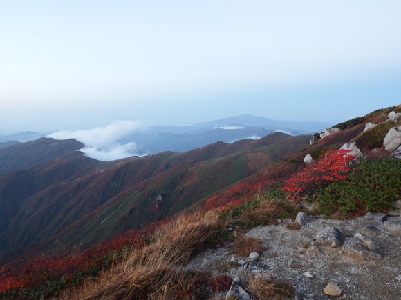 f0118332_23212620.jpg