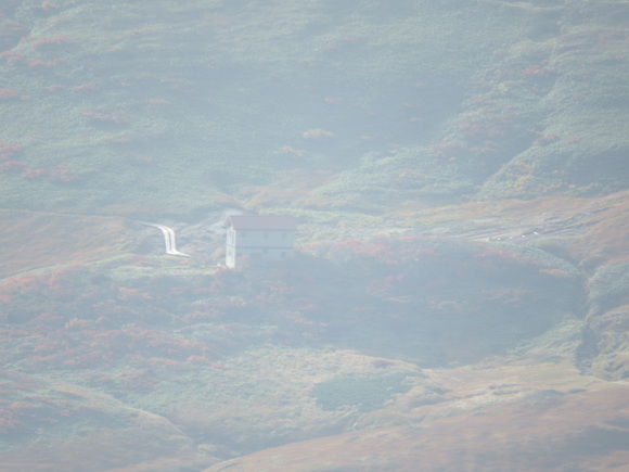 f0118332_23472897.jpg